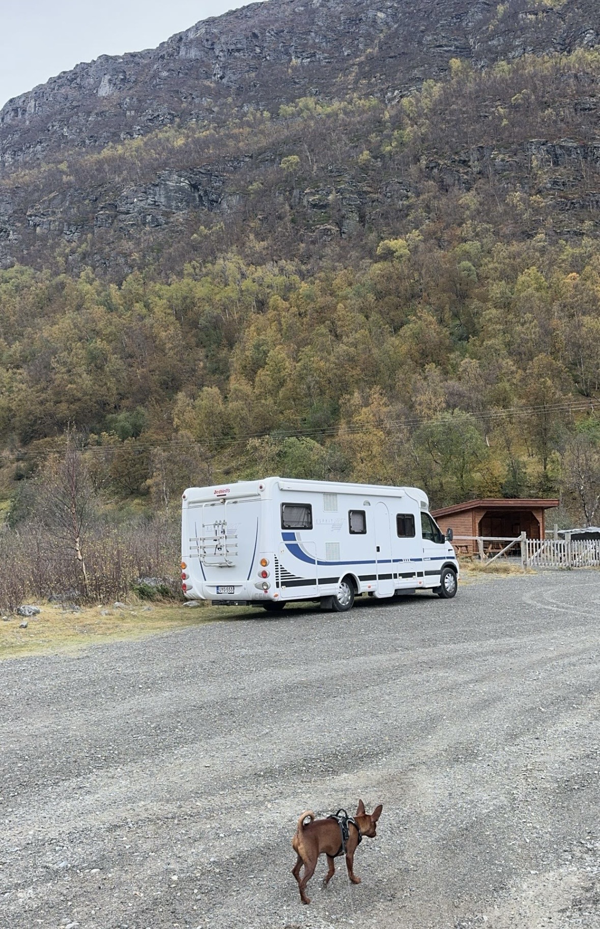 Asuntoauton vuokraus Pirkanmaa, Dethleffs Esprit RT6874, Renault - Image 2